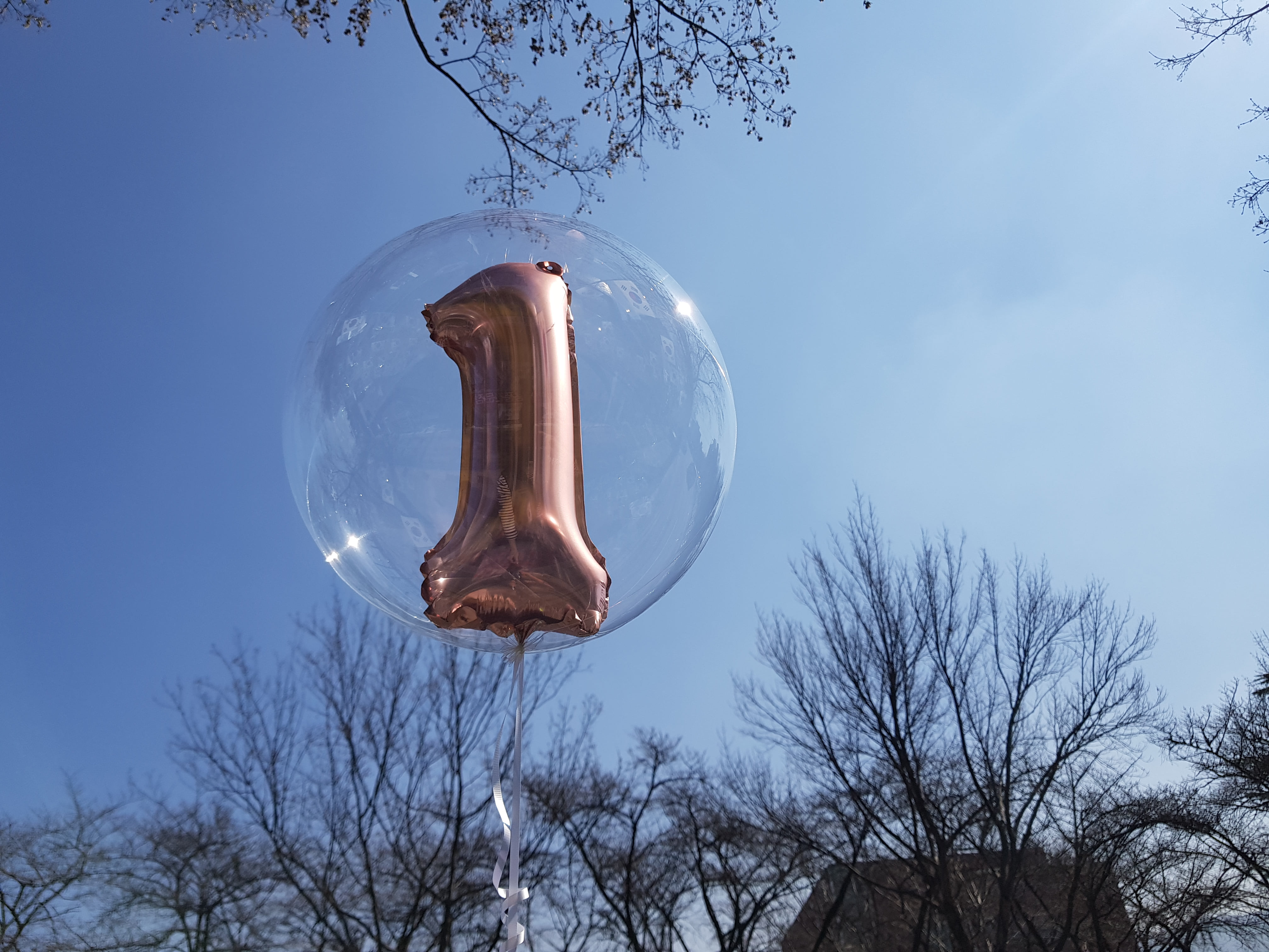 헬륨풍선 버블벌룬 인 넘버벌룬 로즈골드색상대구헬륨풍선, 100일 기념일 컨셉풍선파티용품